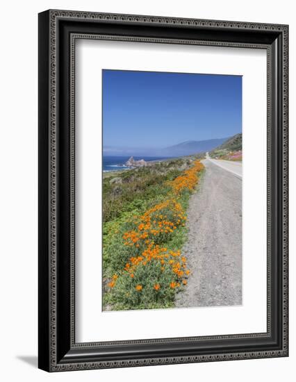USA, California, Near Big Sur, California Poppies, Along Highway 1-Rob Tilley-Framed Photographic Print