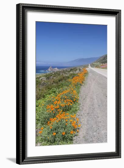 USA, California, Near Big Sur, California Poppies, Along Highway 1-Rob Tilley-Framed Photographic Print