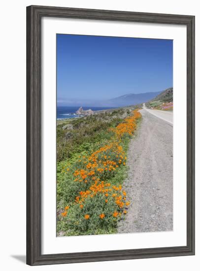 USA, California, Near Big Sur, California Poppies, Along Highway 1-Rob Tilley-Framed Photographic Print