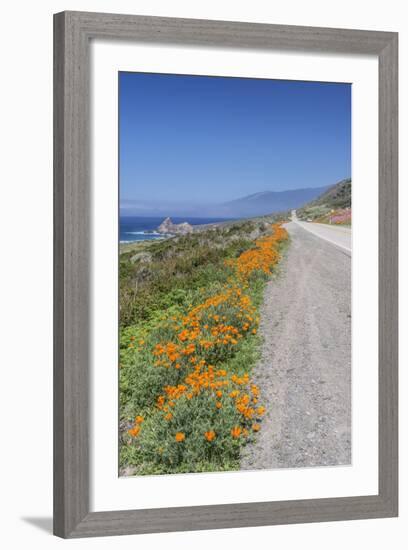 USA, California, Near Big Sur, California Poppies, Along Highway 1-Rob Tilley-Framed Photographic Print