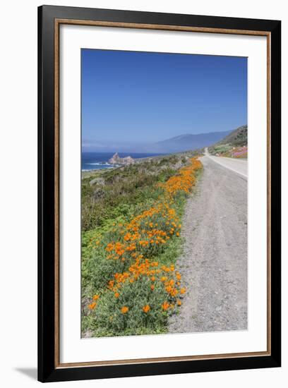 USA, California, Near Big Sur, California Poppies, Along Highway 1-Rob Tilley-Framed Photographic Print