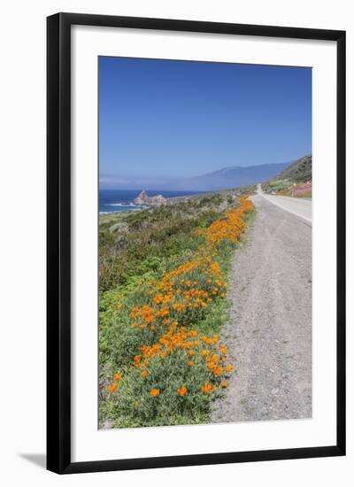 USA, California, Near Big Sur, California Poppies, Along Highway 1-Rob Tilley-Framed Photographic Print