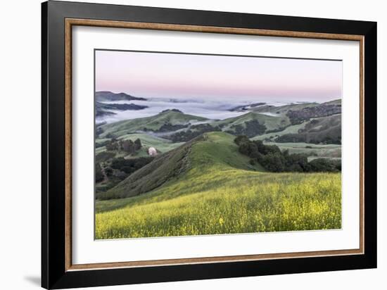 USA, California, Near Paso Robles, Mustard Hill Dawn-Rob Tilley-Framed Photographic Print