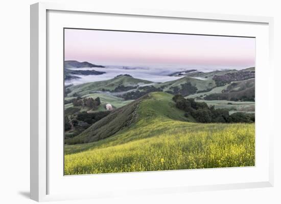 USA, California, Near Paso Robles, Mustard Hill Dawn-Rob Tilley-Framed Photographic Print