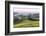 USA, California, Near Paso Robles, Mustard Hill Dawn-Rob Tilley-Framed Photographic Print