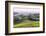 USA, California, Near Paso Robles, Mustard Hill Dawn-Rob Tilley-Framed Photographic Print