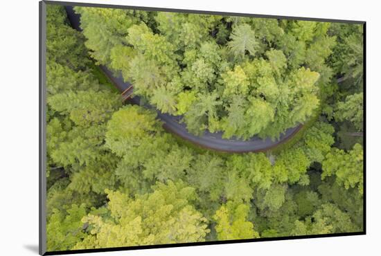 Usa, California, Orick. Highway in middle of forest (aerial view).-Merrill Images-Mounted Photographic Print