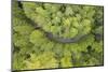 Usa, California, Orick. Highway in middle of forest (aerial view).-Merrill Images-Mounted Photographic Print