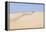 USA, California, Oso Flaco State Park, Part of Oceano Dunes Svra-Trish Drury-Framed Premier Image Canvas