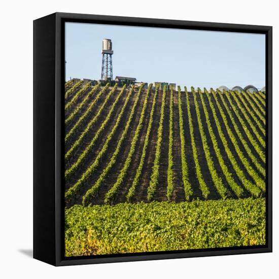 USA California. Pacific Coast Highway, PCH, crops and water tower-Alison Jones-Framed Premier Image Canvas
