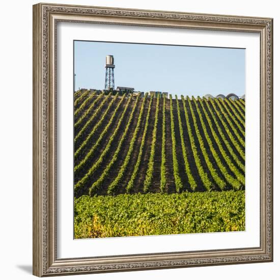 USA California. Pacific Coast Highway, PCH, crops and water tower-Alison Jones-Framed Photographic Print