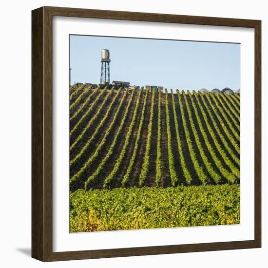 USA California. Pacific Coast Highway, PCH, crops and water tower-Alison Jones-Framed Photographic Print