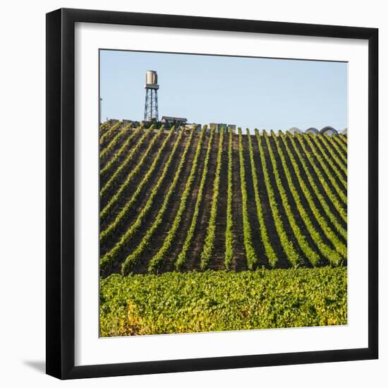 USA California. Pacific Coast Highway, PCH, crops and water tower-Alison Jones-Framed Photographic Print