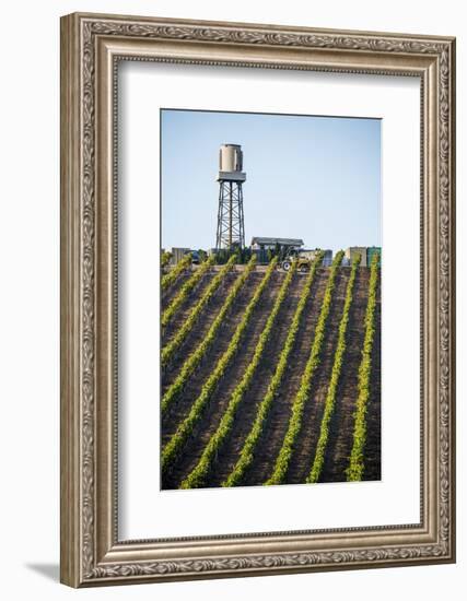 USA California. Pacific Coast Highway, PCH, crops and water tower-Alison Jones-Framed Photographic Print