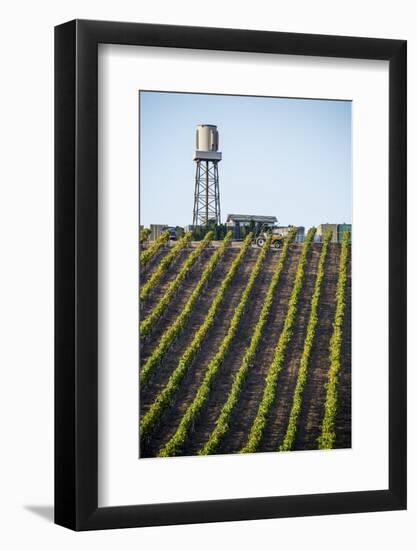 USA California. Pacific Coast Highway, PCH, crops and water tower-Alison Jones-Framed Photographic Print