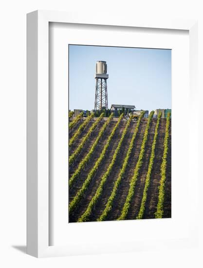 USA California. Pacific Coast Highway, PCH, crops and water tower-Alison Jones-Framed Photographic Print