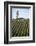 USA California. Pacific Coast Highway, PCH, crops and water tower-Alison Jones-Framed Photographic Print