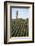 USA California. Pacific Coast Highway, PCH, crops and water tower-Alison Jones-Framed Photographic Print