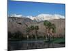 USA, California, Palm Springs, Reflection of San Jacinto Range in Lake-Zandria Muench Beraldo-Mounted Photographic Print
