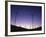 USA, California, Palm Springs, View of Wind Turbines at Sunset-Zandria Muench Beraldo-Framed Photographic Print