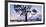 USA, California, Panoramic View of Eucalyptus Tree and Morro Rock at Sunset-Ann Collins-Framed Photographic Print