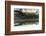 USA, California, Parkfield, V6 Ranch cowgirl with cows, reflected in pond-Ellen Clark-Framed Photographic Print