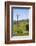 USA, California, Pinnacle National Park, Old Windmill-Alison Jones-Framed Photographic Print