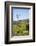 USA, California, Pinnacle National Park, Old Windmill-Alison Jones-Framed Photographic Print