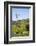 USA, California, Pinnacle National Park, Old Windmill-Alison Jones-Framed Photographic Print