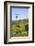 USA, California, Pinnacle National Park, Old Windmill-Alison Jones-Framed Photographic Print