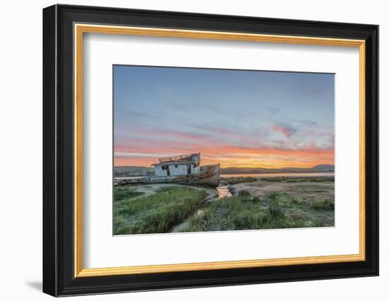 USA, California, Point Reyes National Seashore, Shipwreck sunrise-Rob Tilley-Framed Photographic Print