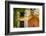 USA, California, Ramona. the Ramona Valley-Richard Duval-Framed Photographic Print