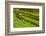 USA, California, Redwoods National Park. Moss-Covered Fence-Cathy & Gordon Illg-Framed Photographic Print