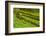 USA, California, Redwoods National Park. Moss-Covered Fence-Cathy & Gordon Illg-Framed Photographic Print