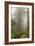 USA, California, Redwoods NP. Trail Through Redwood Trees and Fog-Cathy & Gordon Illg-Framed Photographic Print