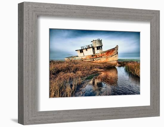 Usa, California. Rotting fishing boat near Point Reyes.-Betty Sederquist-Framed Photographic Print