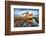 Usa, California. Rotting fishing boat near Point Reyes.-Betty Sederquist-Framed Photographic Print