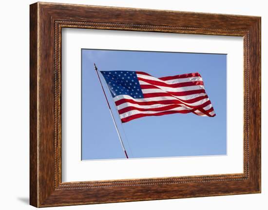 USA, California, San Diego. American flag waves above Liberty Station-Ann Collins-Framed Photographic Print