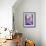 USA, California, San Diego, Bearded Iris-Ann Collins-Framed Photographic Print displayed on a wall