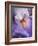 USA, California, San Diego, Bearded Iris-Ann Collins-Framed Photographic Print