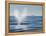 USA, California, San Diego. California Gray Whale Migrating South Toward Mexico-Ann Collins-Framed Premier Image Canvas