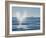 USA, California, San Diego. California Gray Whale Migrating South Toward Mexico-Ann Collins-Framed Photographic Print