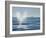 USA, California, San Diego. California Gray Whale Migrating South Toward Mexico-Ann Collins-Framed Photographic Print