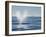 USA, California, San Diego. California Gray Whale Migrating South Toward Mexico-Ann Collins-Framed Photographic Print