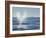 USA, California, San Diego. California Gray Whale Migrating South Toward Mexico-Ann Collins-Framed Photographic Print