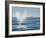 USA, California, San Diego. California Gray Whale Migrating South Toward Mexico-Ann Collins-Framed Photographic Print