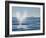 USA, California, San Diego. California Gray Whale Migrating South Toward Mexico-Ann Collins-Framed Photographic Print