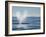 USA, California, San Diego. California Gray Whale Migrating South Toward Mexico-Ann Collins-Framed Photographic Print