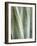 USA, California, San Diego, Close-Up of Agave Americana-Ann Collins-Framed Photographic Print