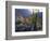 USA, California, San Diego. Ocotillo at Sunset in Anza Borrego Desert-Jaynes Gallery-Framed Photographic Print